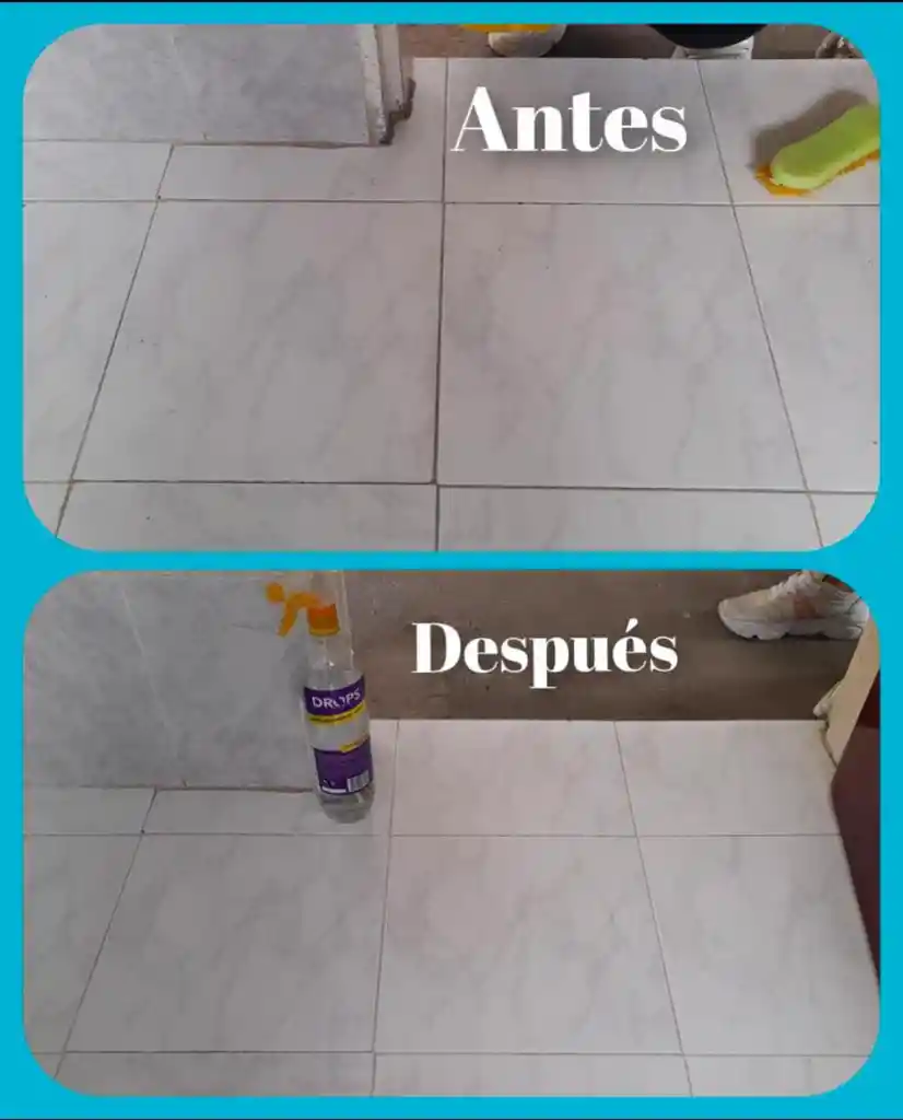 Desmanchador De Juntas