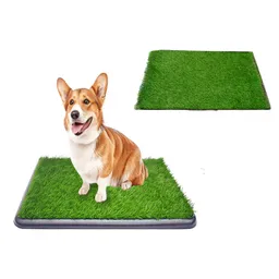 Tapete Entrenador Grande + Repuesto Grama