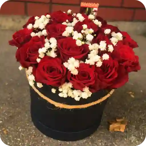 Cilindro De 24 Rosas Rojas