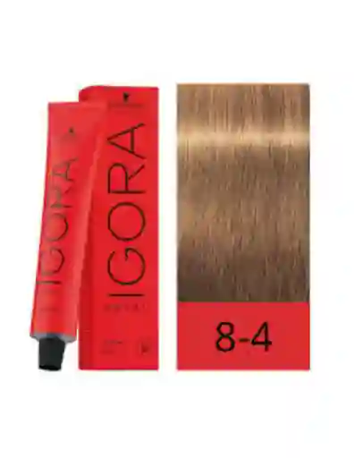 Igora Royal Tinte 8-4 Rubio Claro Beige