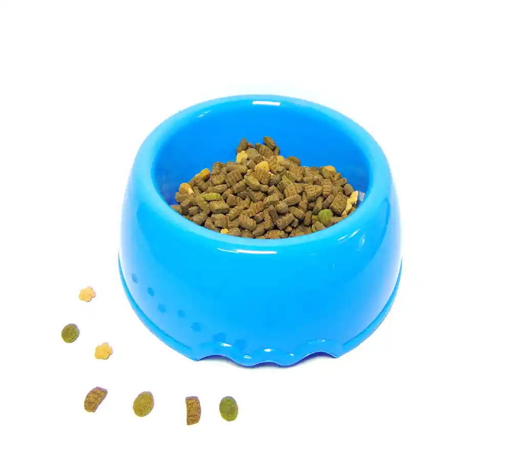 Comedero Redondo Gigante D. 26cm A. 8 Cm Celeste