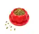 Comedero Anti Hormigas D. 26cm A. 6,5cm Rojo