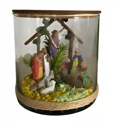 Pesebre Navidad Nacimiento Tipo Terrario