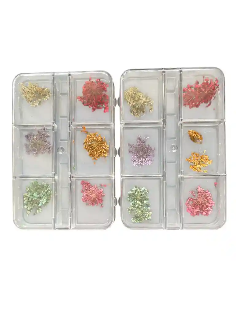 Caja Por Seis Diseños Con Decoracion Para Maquillaje De Uñas Y Rostro En Forma De Naturaleza Florez