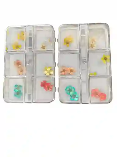 Caja Por Seis Diseños Con Decoracion Para Maquillaje De Uñas Y Rostro En Forma De Naturaleza Florez