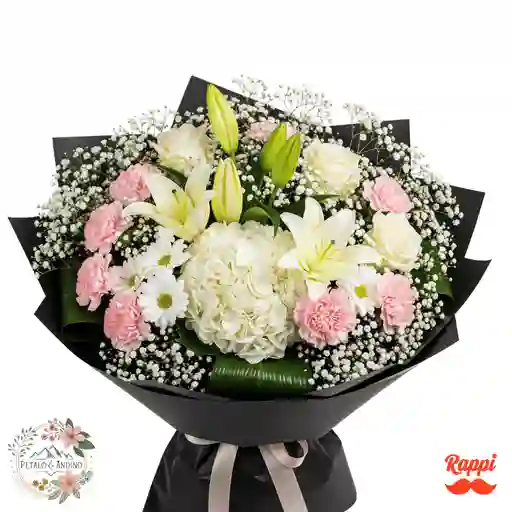 Silueta Negra Deluxe