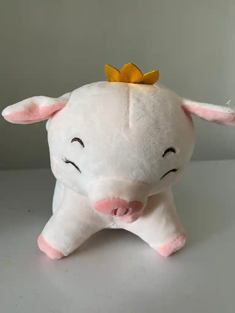 Cedita Corona 20cm