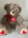 Oso 45cm Peludo