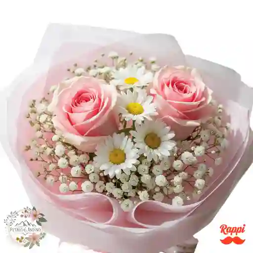 Rosa Pastel