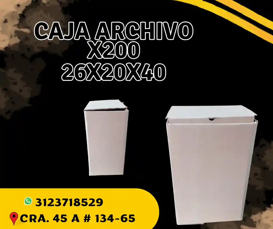 Caja Archivo X 200 - 26x20x40