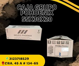 Caja Grupo Phoenix 55x30x20