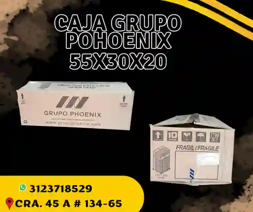 Caja Grupo Phoenix 55x30x20