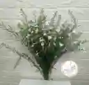 Follaje Aster Blanco Por 7 Baras