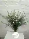 Follaje Aster Blanco Por 7 Baras