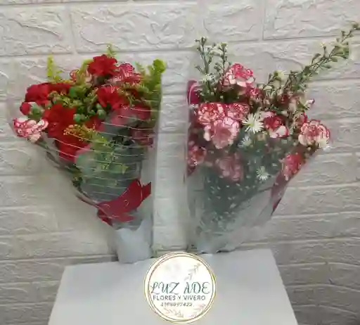 Paquete Clavellinas Y Claveles Con Follaje En Colores Primario