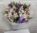 Flores Astromelia Con Follaje En Colores Pasteles