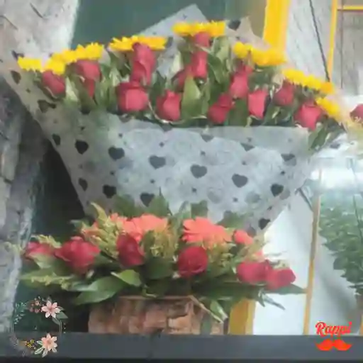 Corazón Y Jardín