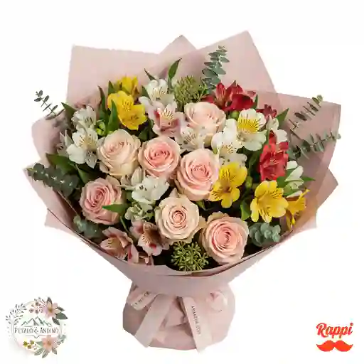 Explosión De Frescura