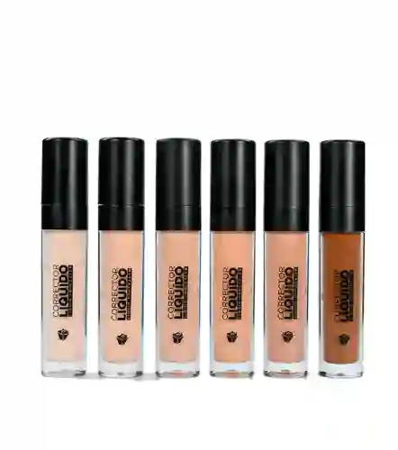 Corrector Tono Honey Liquido Dolce Bella