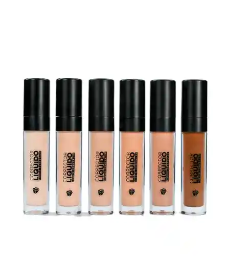 Corrector Tono Honey Liquido Dolce Bella