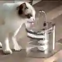 Fuente De Gato