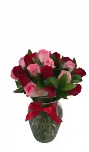 Jarron De Rosas