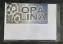 Cartulina Opalina 180g Oficio X20 Hojas