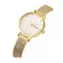 Reloj De Lujo Moderno Para Mujer Fabricado En Acero Inoxidable
