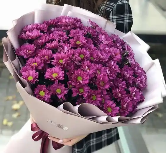 Bouquet De Margaritas