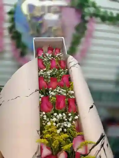 Caja X12 Rosas