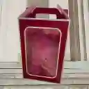 Oso Eterno Rosado 🧸💗