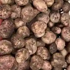 Papa Pastusa Sin Lavar