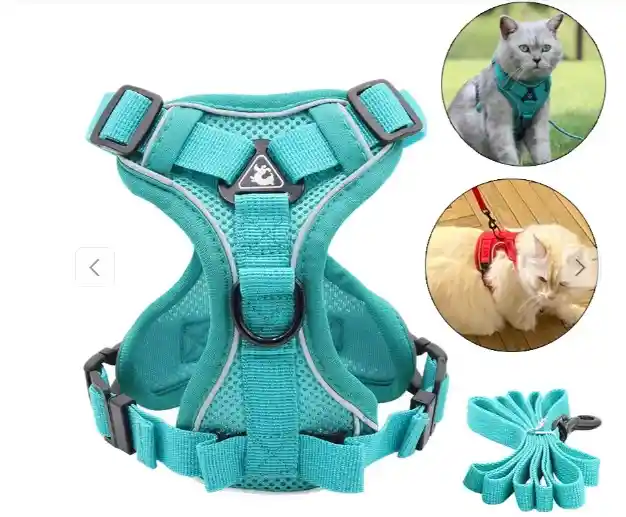 Arnés Pechera Para Gatos Y Perros Pequeños Tamaño S Color Azul