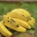 Banano