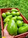 Aguacate Choquette
