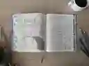 Biblia Inspira Ntv Letra Grande 10 Sentipiel Azul Filament App