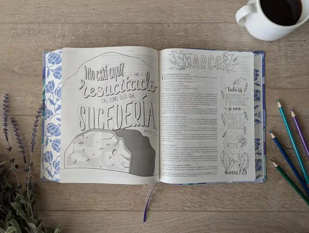 Biblia Inspira Ntv Letra Grande 10 Sentipiel Azul Filament App