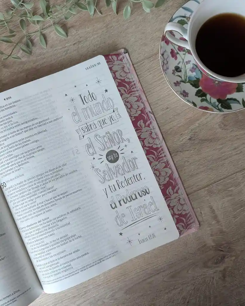 Biblia Inspira Ntv Letra Grande 10 Sentipiel Rosa Filament App