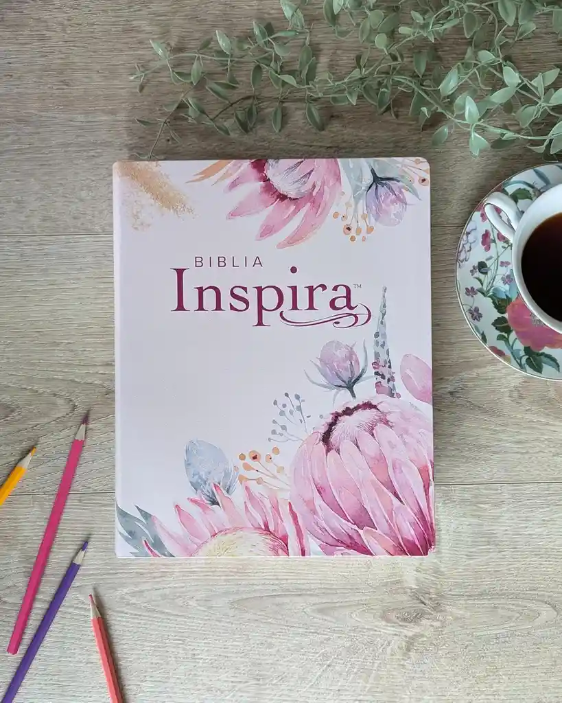 Biblia Inspira Ntv Letra Grande 10 Sentipiel Rosa Filament App