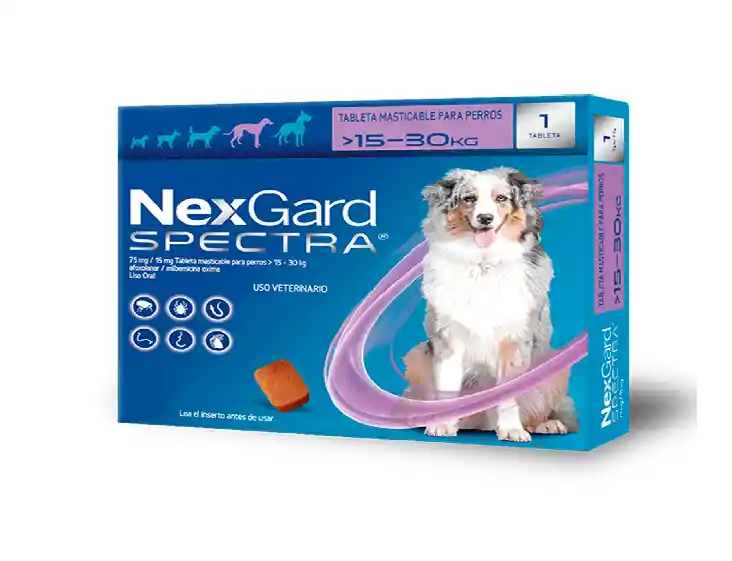 Nexgard Spectra L ( 15 - 30 Kg) Morado