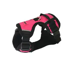 Al Torno Arnes En Lona Talla Xs