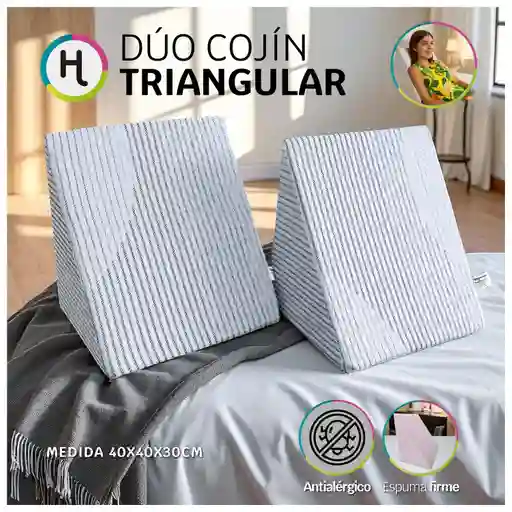 Set X 2 Cojines Triangulares Ortopédicos Televisión Tv - Ergonómicos