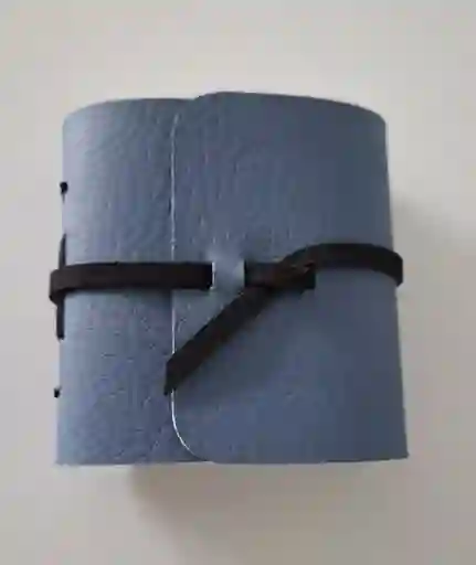 Viajera Azul Mini