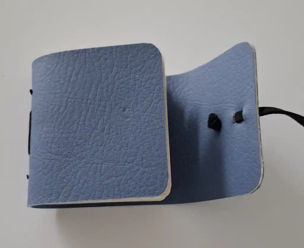 Viajera Azul Mini