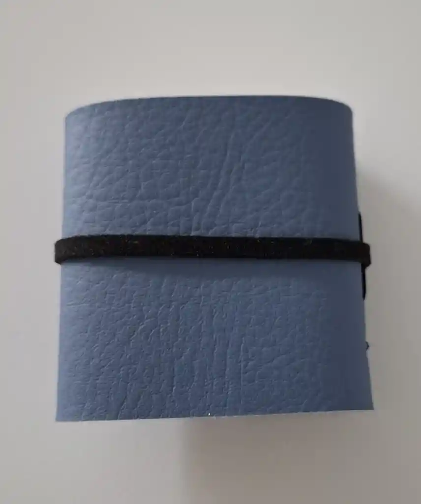 Viajera Azul Mini