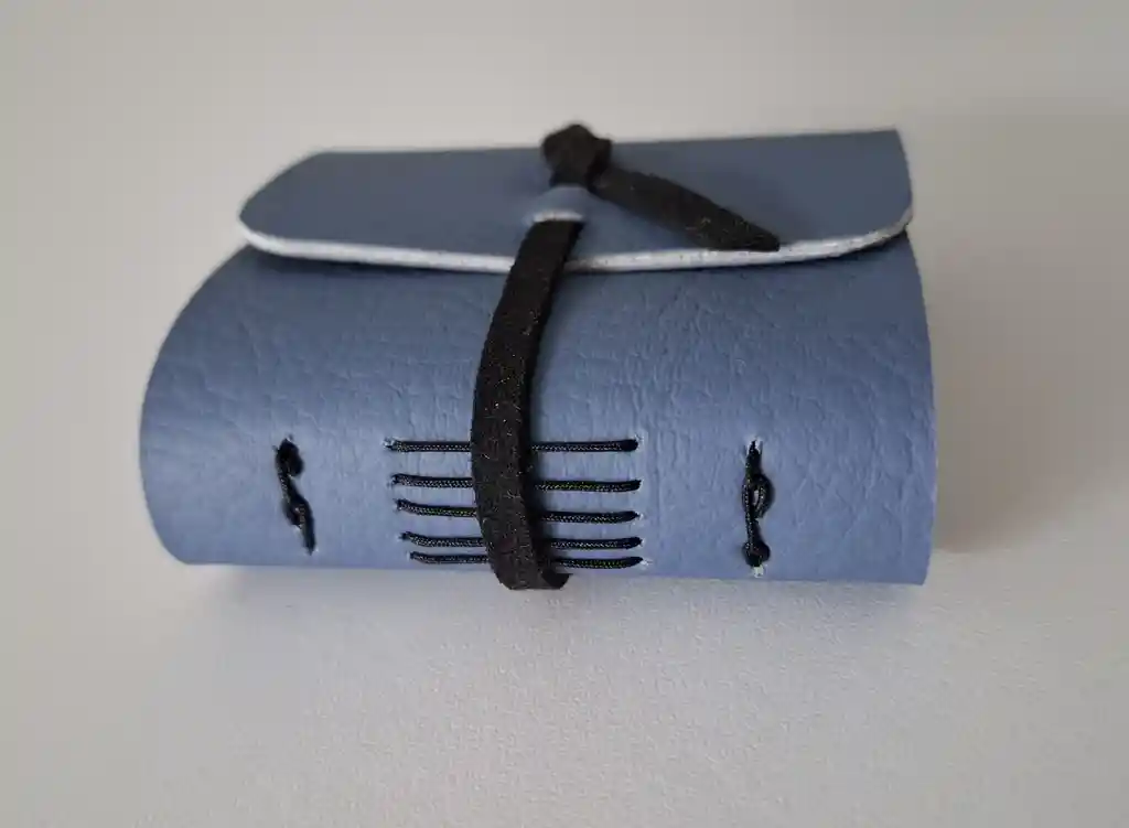 Viajera Azul Mini