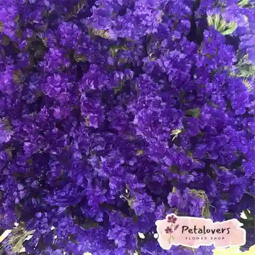 Flores Bouquet De Statice