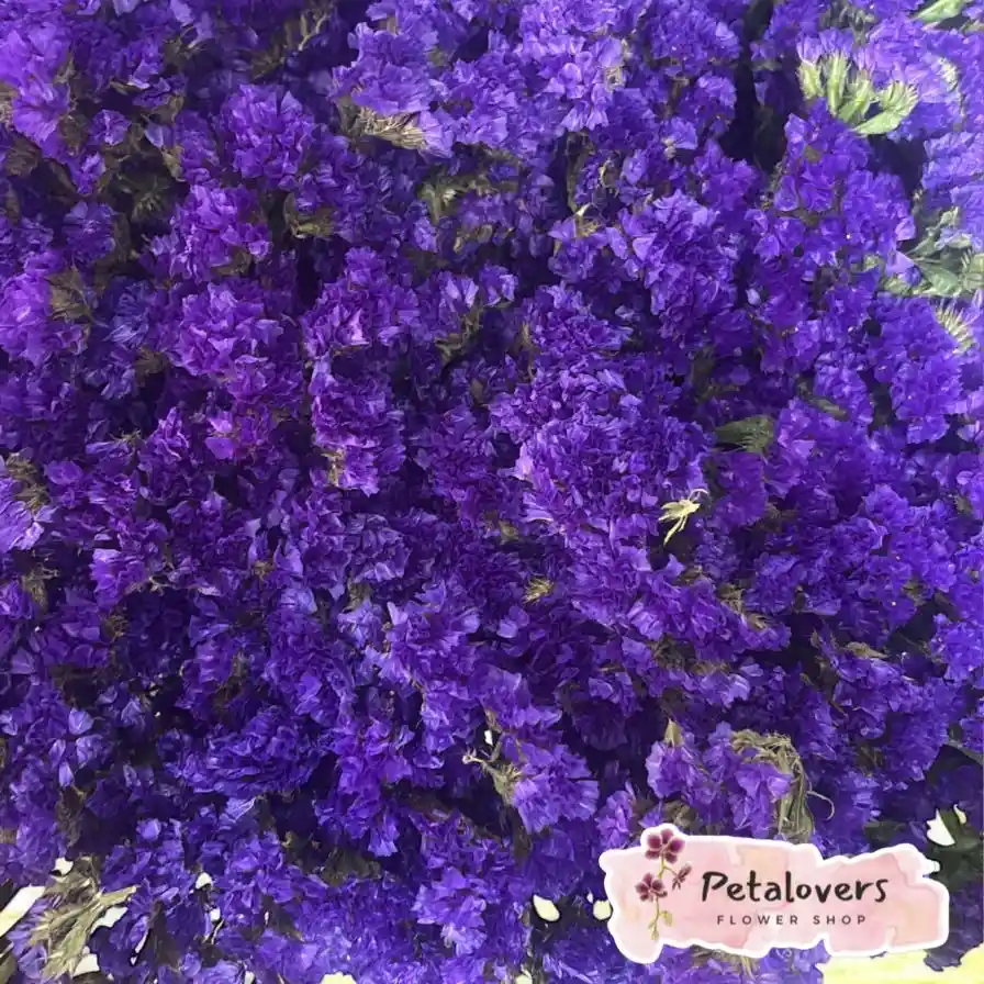 Flores Bouquet De Statice