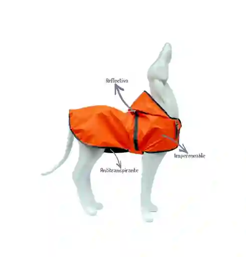 Capa Impermeable Talla Xl