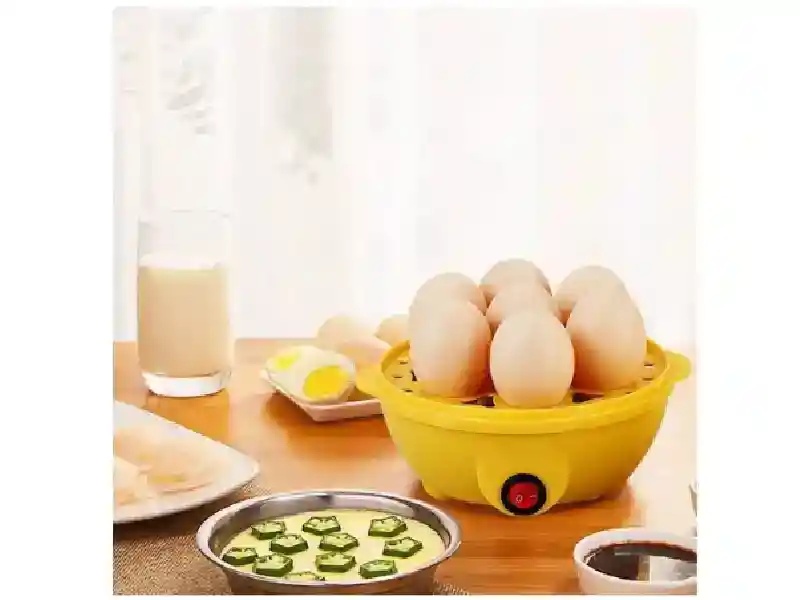 Gallina Hervidora De Huevos
